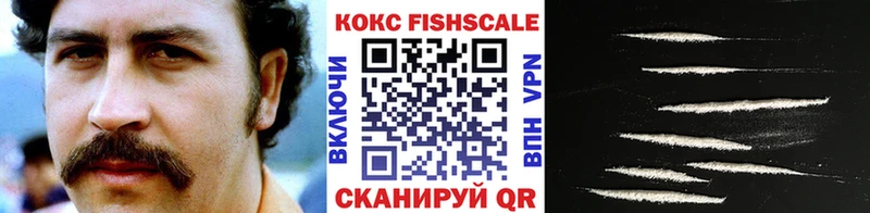 КОКАИН Fish Scale  Мамадыш 