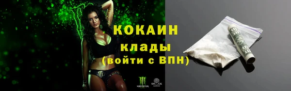 крисы Зерноград