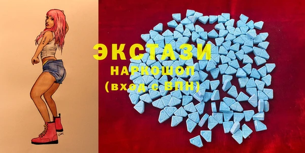 крисы Зерноград