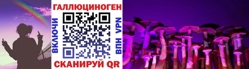 Псилоцибиновые грибы Cubensis  блэк спрут ссылки  Мамадыш 